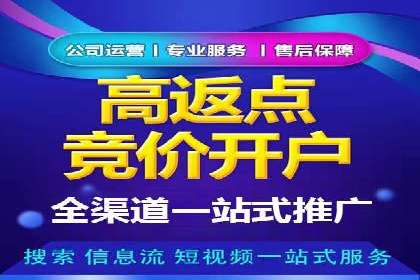 某企业SEM广告投放的ROI提升之路